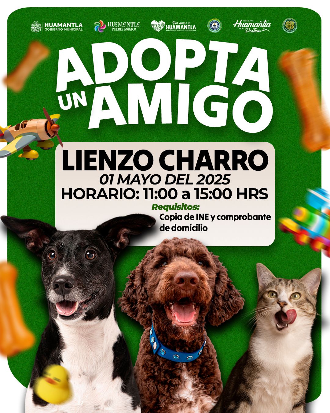 Huamantla promueve la adopción responsable con jornada 'Adopta un Amigo'